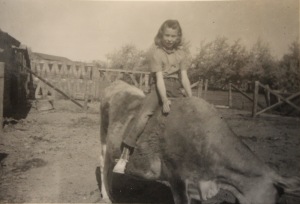 Carol Long Cooper Riding a cow named Club. Image Courtesy: Carol Long Cooper.